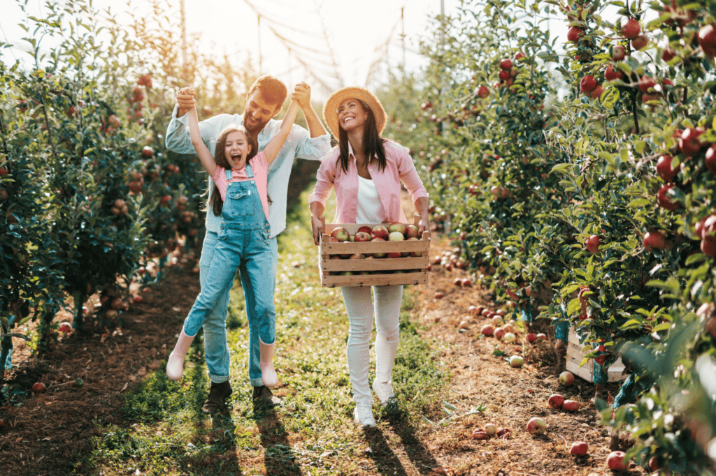 boise family dental care